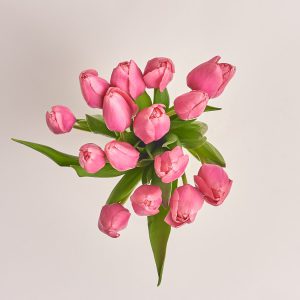Bouquet of pink tulips on a light background, flowers theme